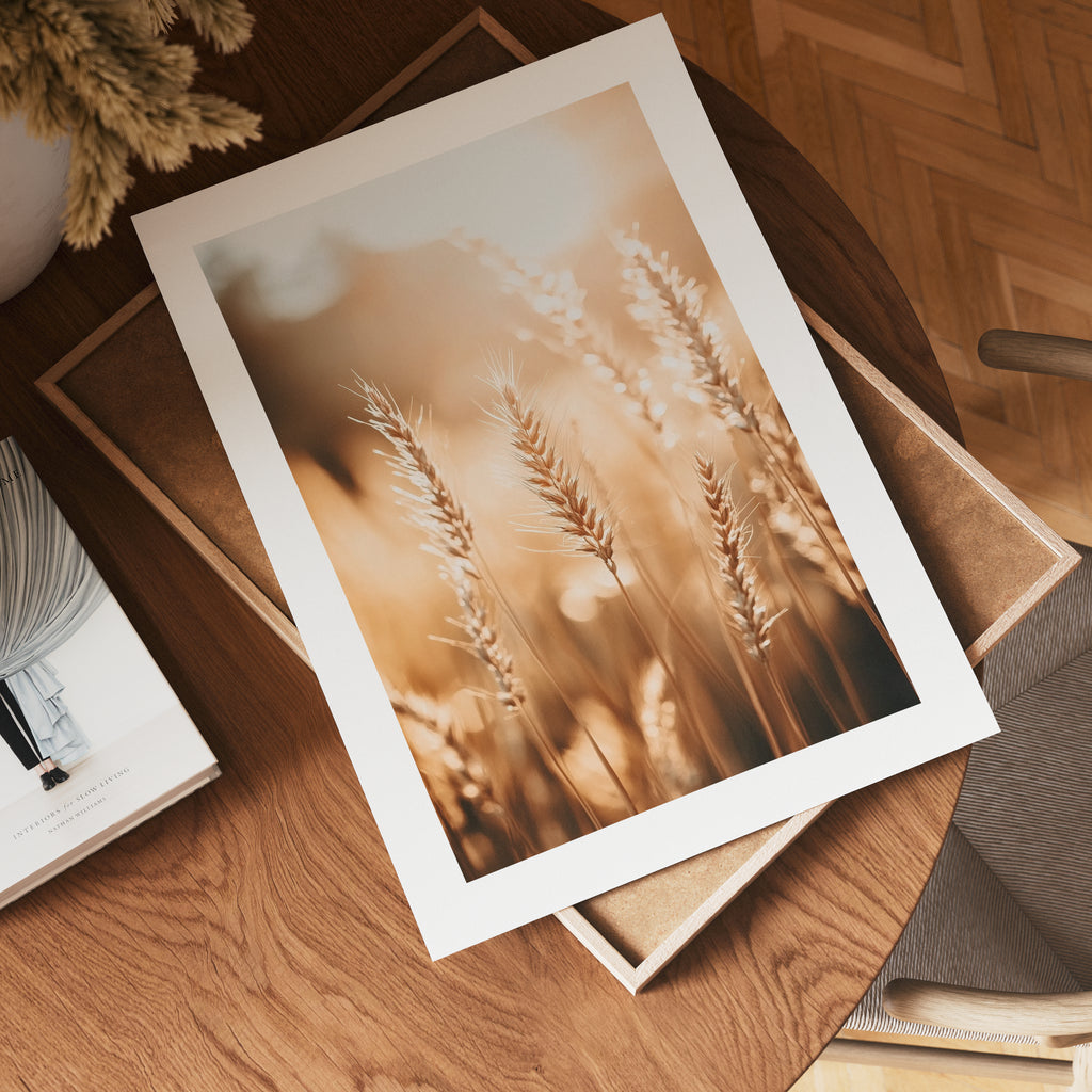 Harvest Light Poster