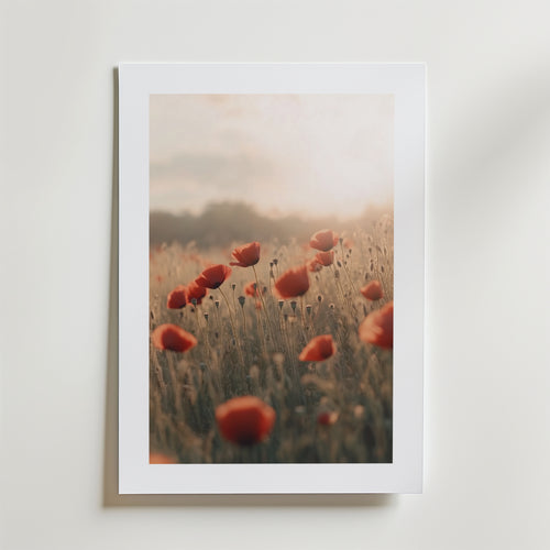 Echoes of Summer – stilfullt konsttryck från Bozetto, tryckt på matt finpapper i hög tryckkvalitet