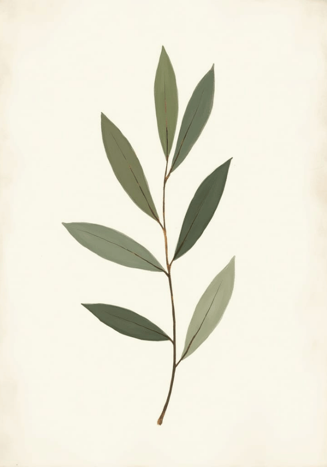Minimalist Eucalyptus Poster – poster väggdekoration