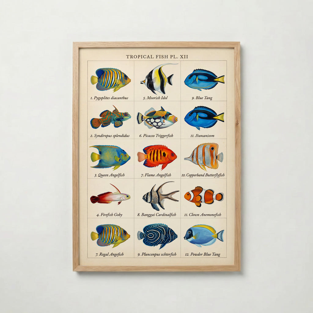 Tropical Fish Grid Poster – ekram