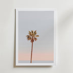 Palm Sunset Poster