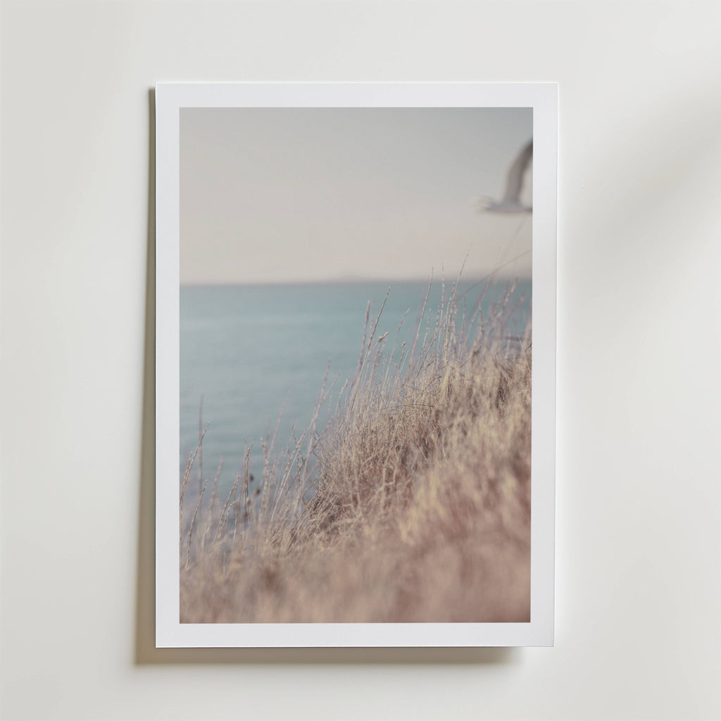 Soft Coastline Breeze Poster