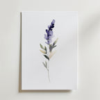 Bozetto Watercolor lavender Poster föreställer en minimalistisk lavendelkvist med gröna blad på vit botten, tryckt på FSC-certifierat premiumpapper med en lyxigt matt yta, vackert upphängd på canvas.