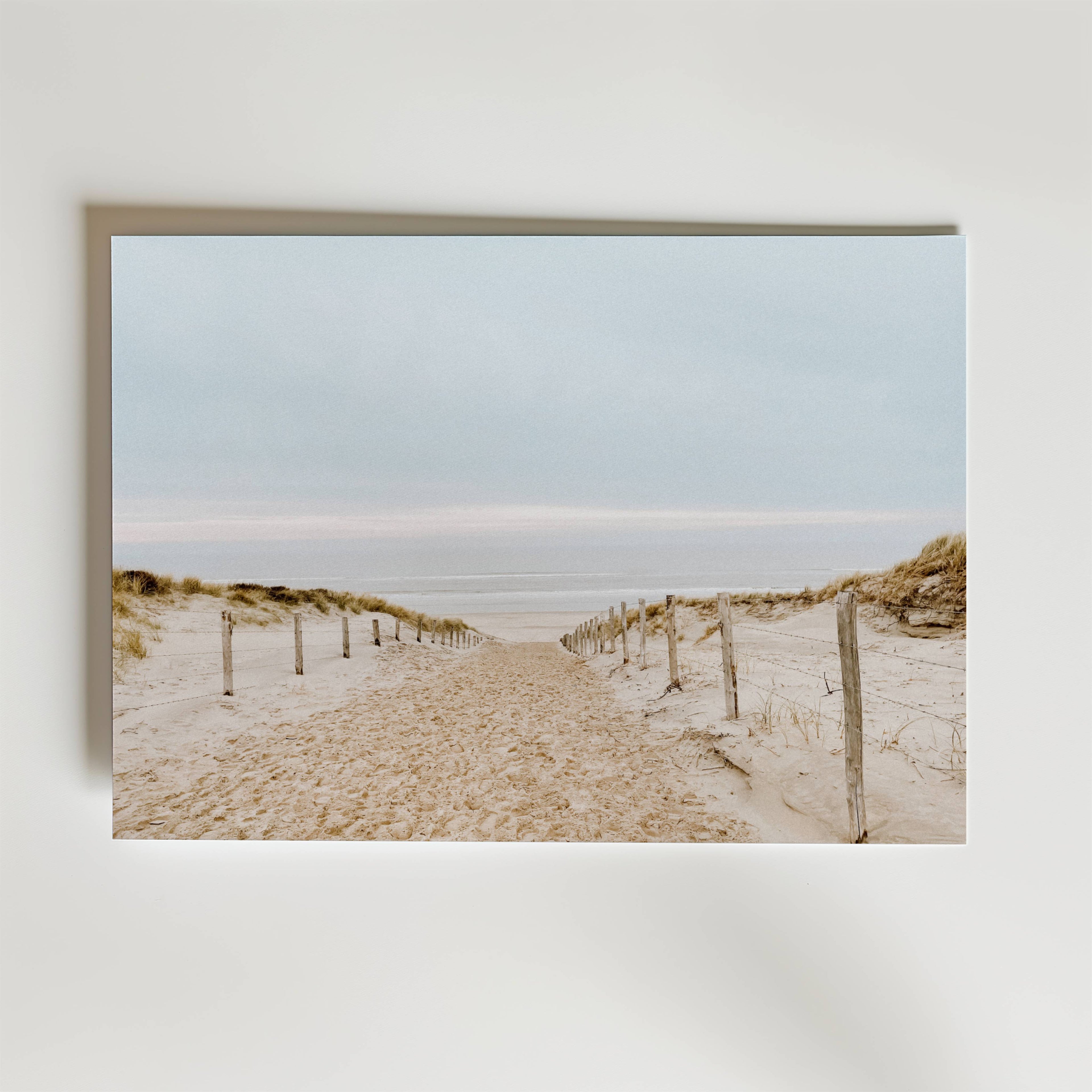 Soft Dune Pathway Poster