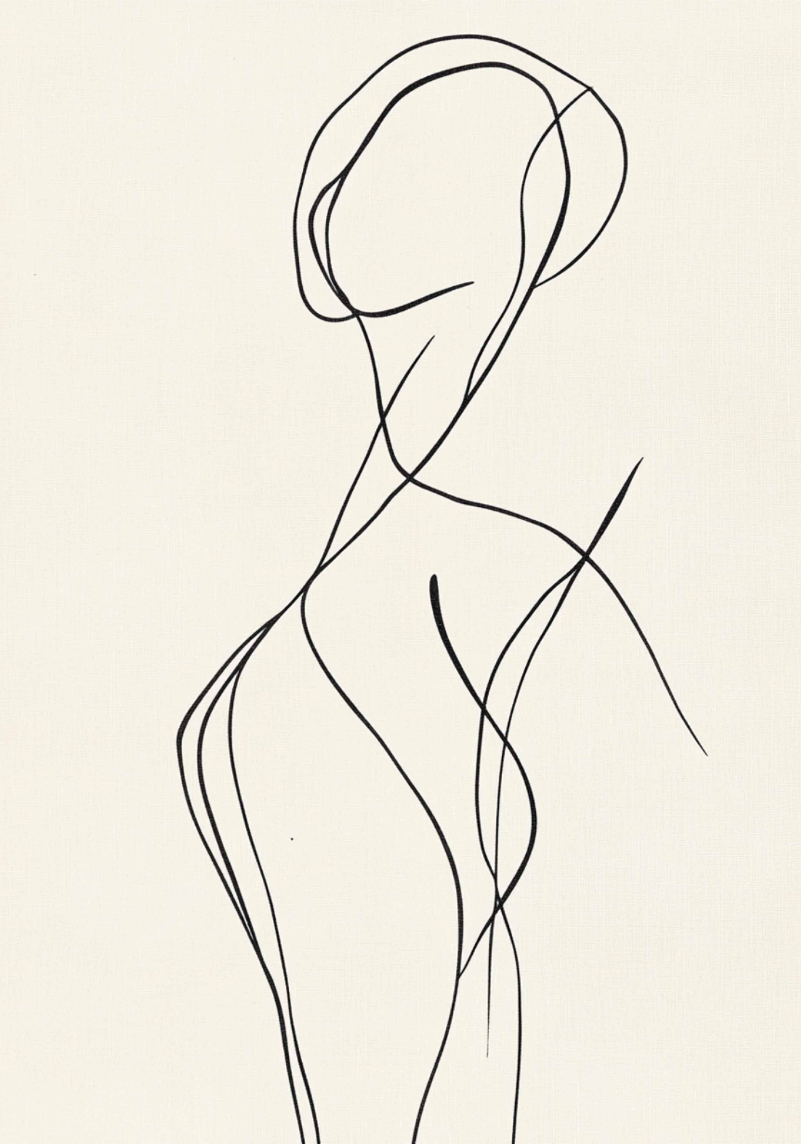 Abstract Curvy Female Poster