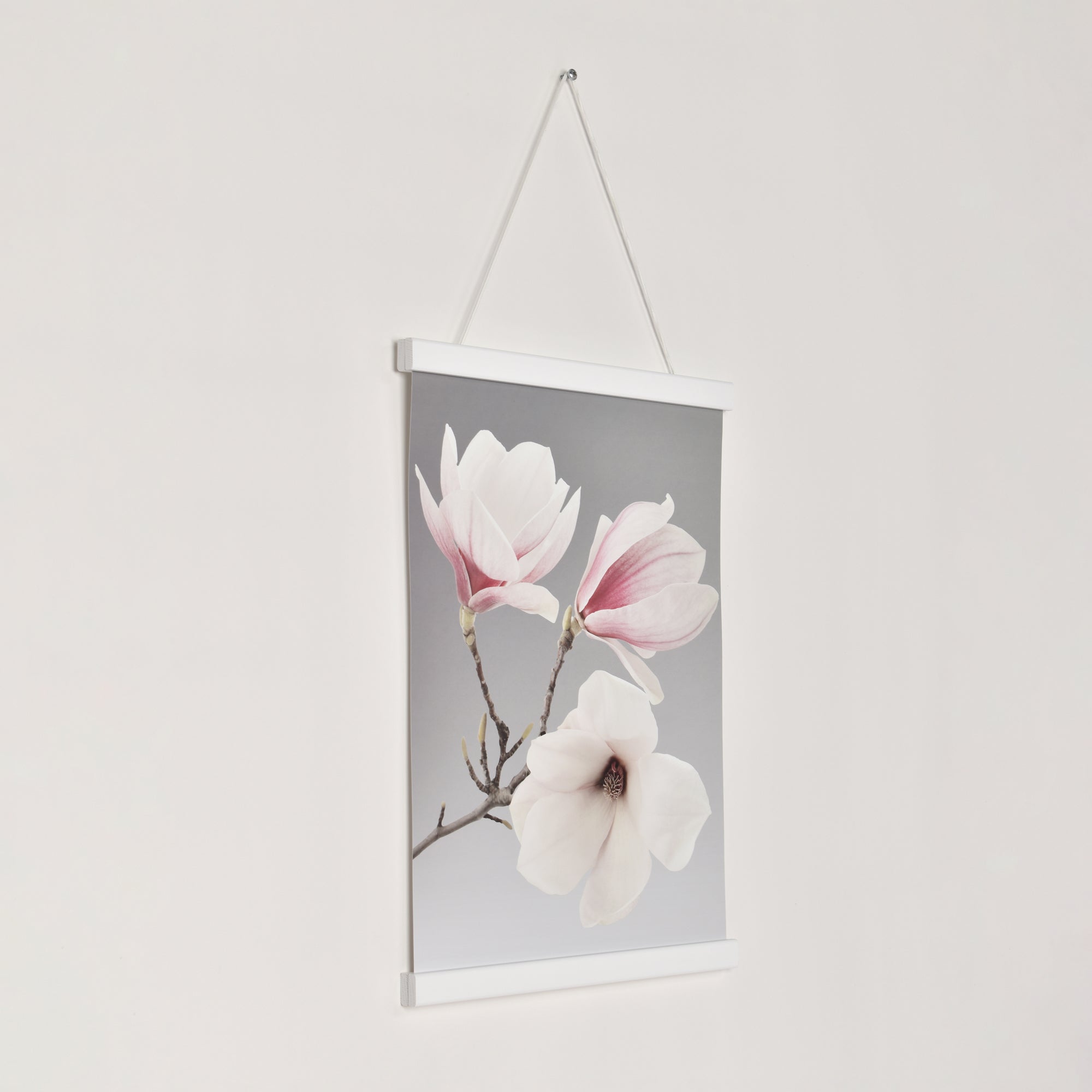 Posterhängare Vit Ek med magnet