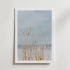 Soft Dune Grass Poster