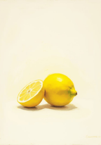 Citrus Essence Poster