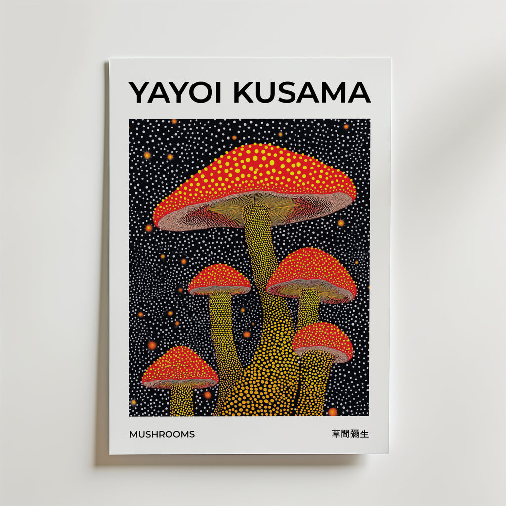 Bundle 3-pack Bold Kusama