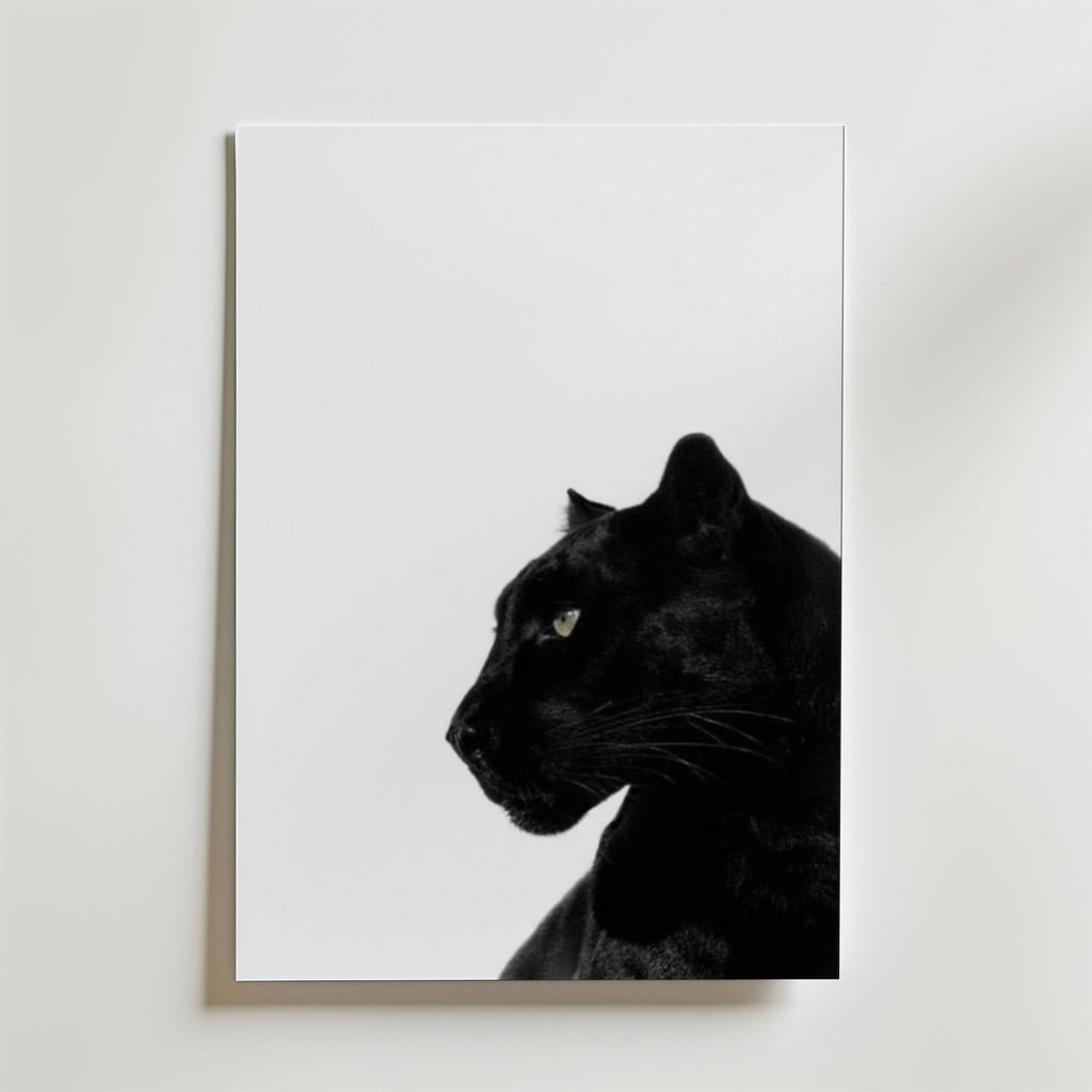 Midnight Panther Poster – En kraftfull och elegant poster med en svart panter mot ljus bakgrund.
