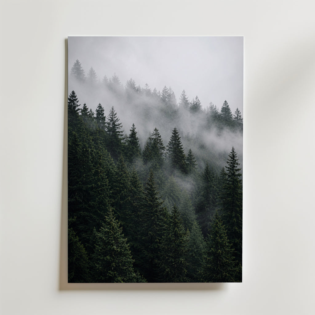 Misty Pine Forest Poster