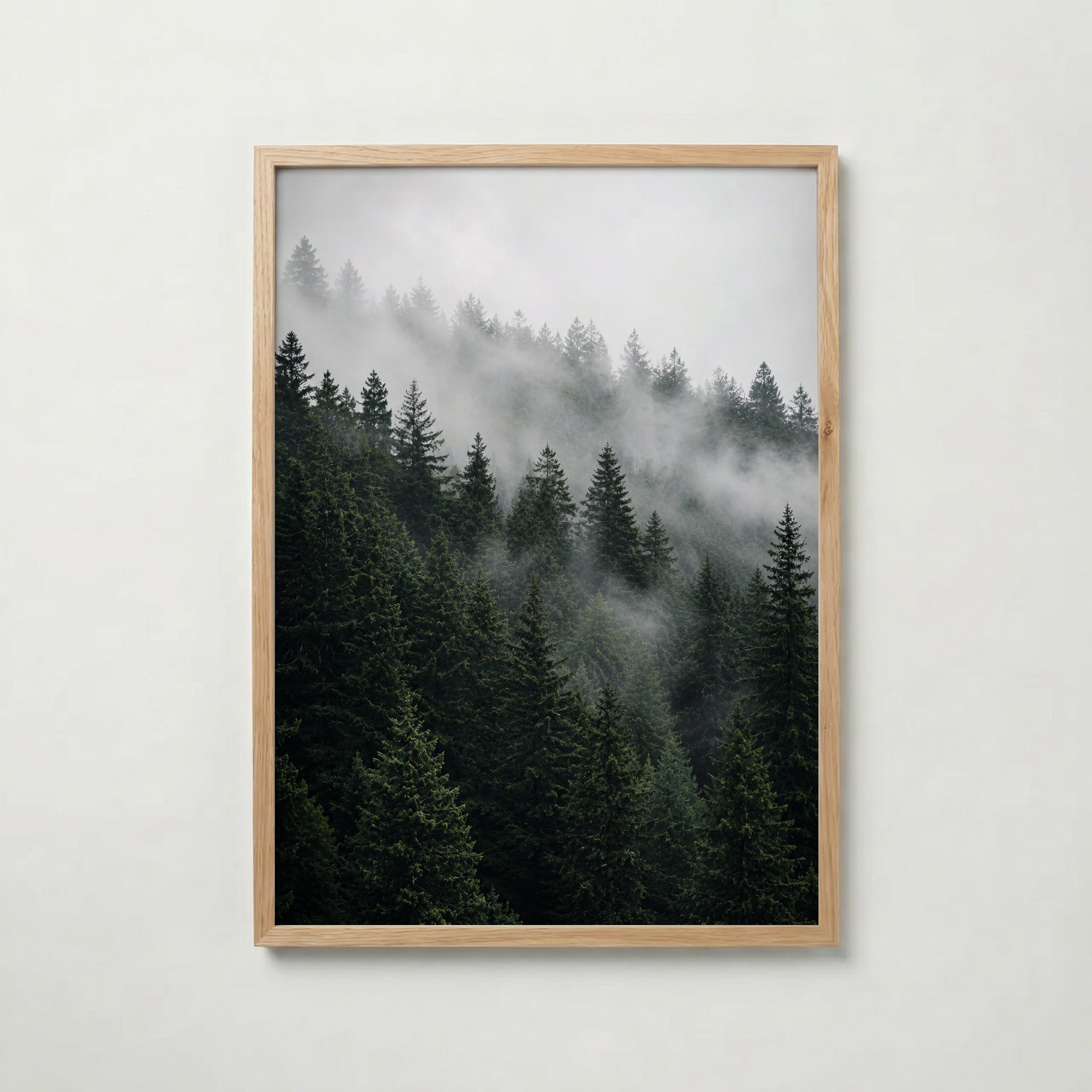 Misty Pine Forest Poster