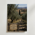 Marco Ricci Podere San Giorgio Toscana Poster – toskansk landsväg kantad av cypresser och vingårdar