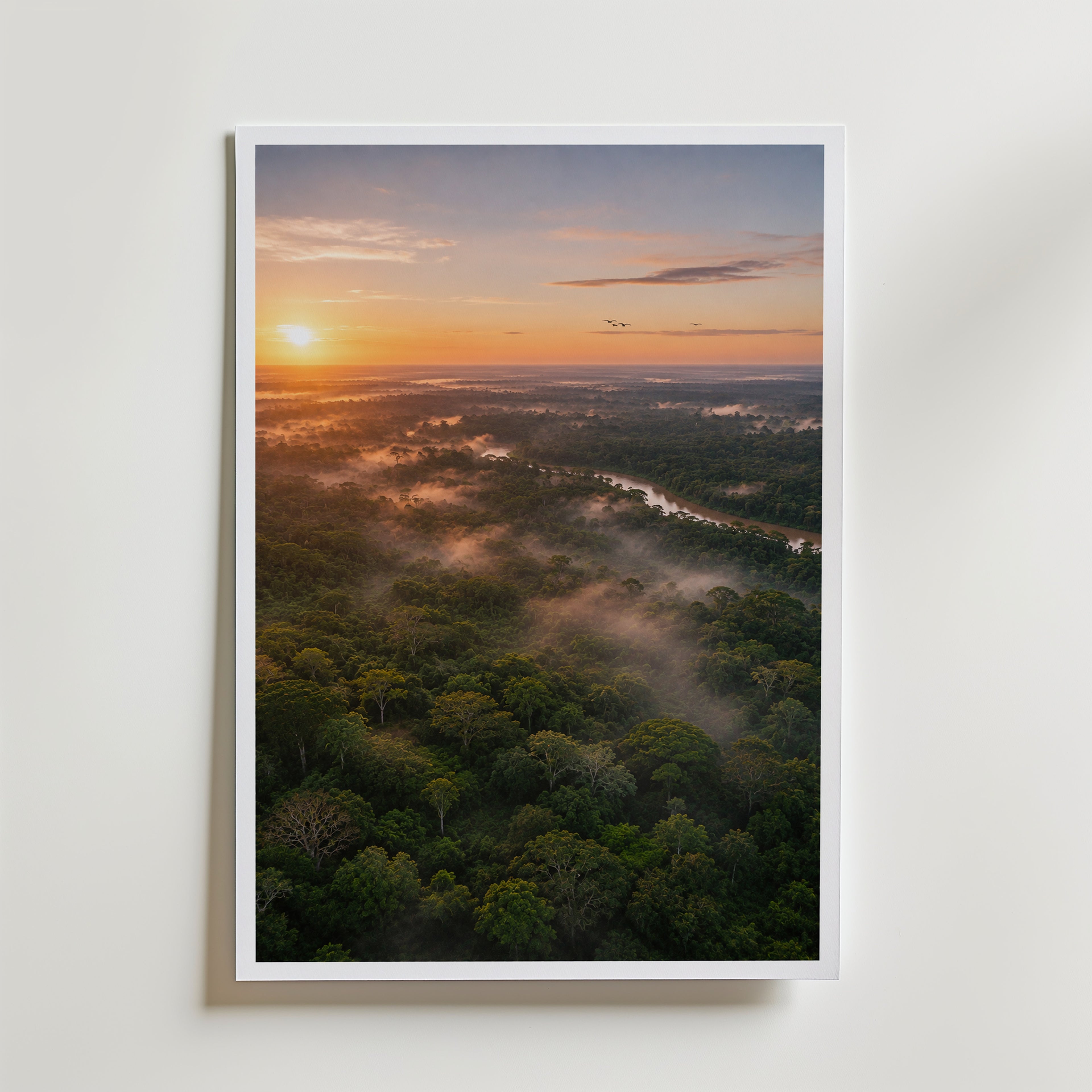 Rainforest at Sunrise Poster