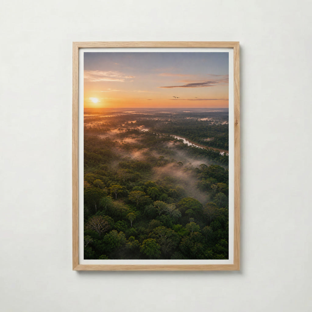 Rainforest at Sunrise Poster