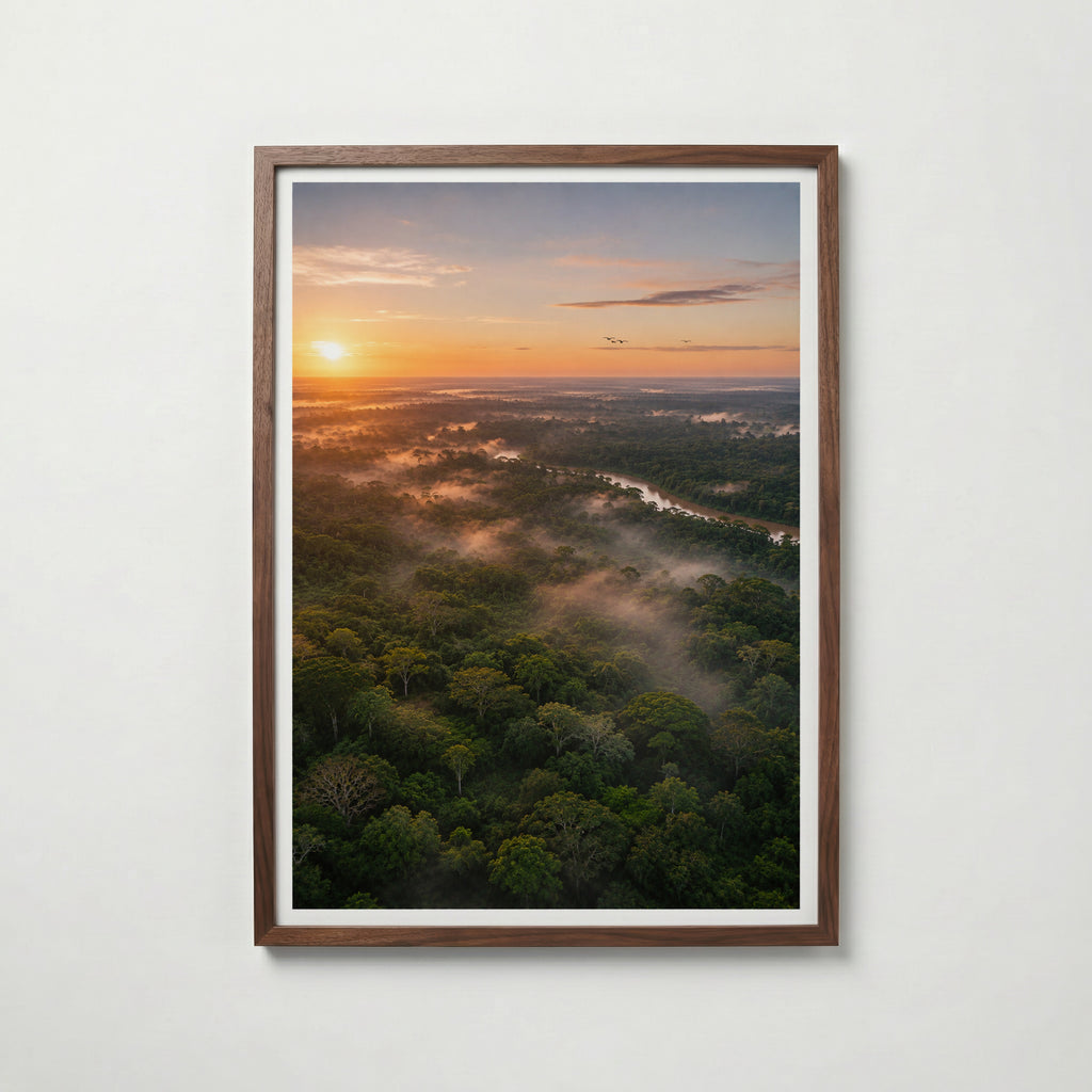 Rainforest at Sunrise Poster
