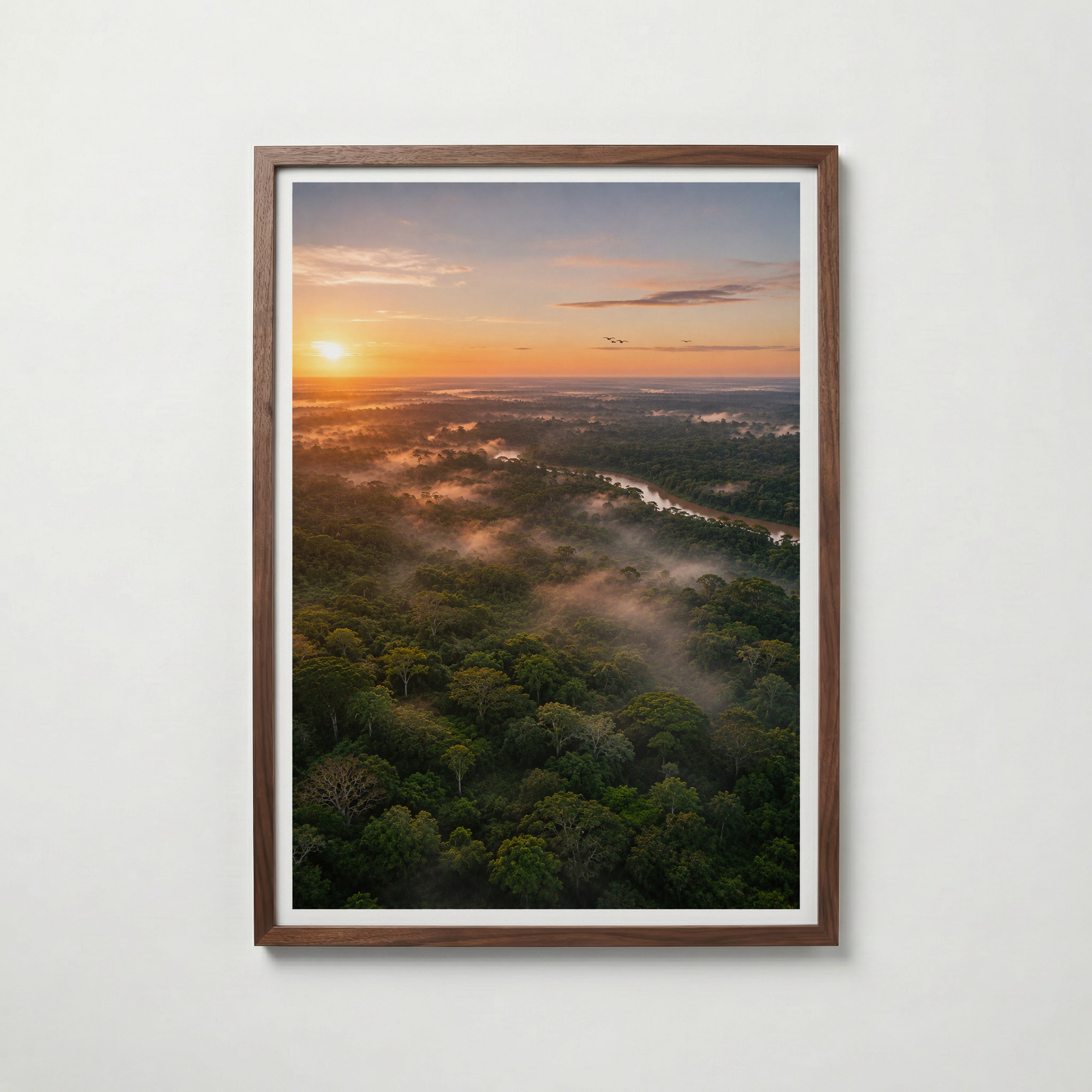 Rainforest at Sunrise Poster