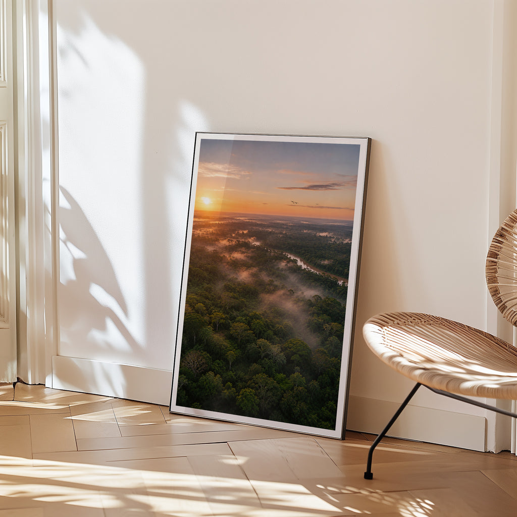 Rainforest at Sunrise Poster