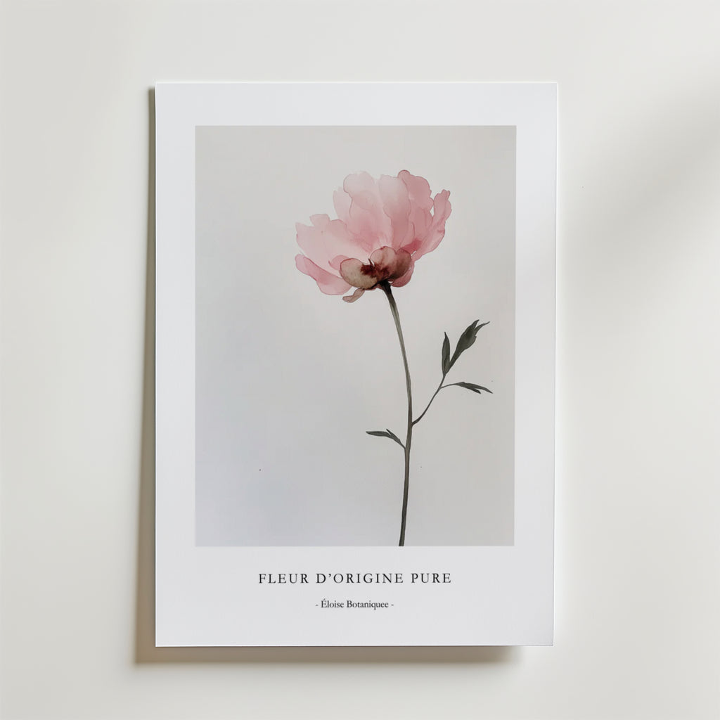 Fleur D´origine Pure Poster från Bozetto är ett minimalistiskt botaniskt konsttryck med en enda rosa blomma och gröna blad på vit botten, tryckt på FSC-certifierat premiumpapper. Nedanför står det "FLEUR DORIGINE PURE - Étude Botanique -".