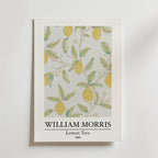 Bundle 2-pack William Morris Nature Elegance