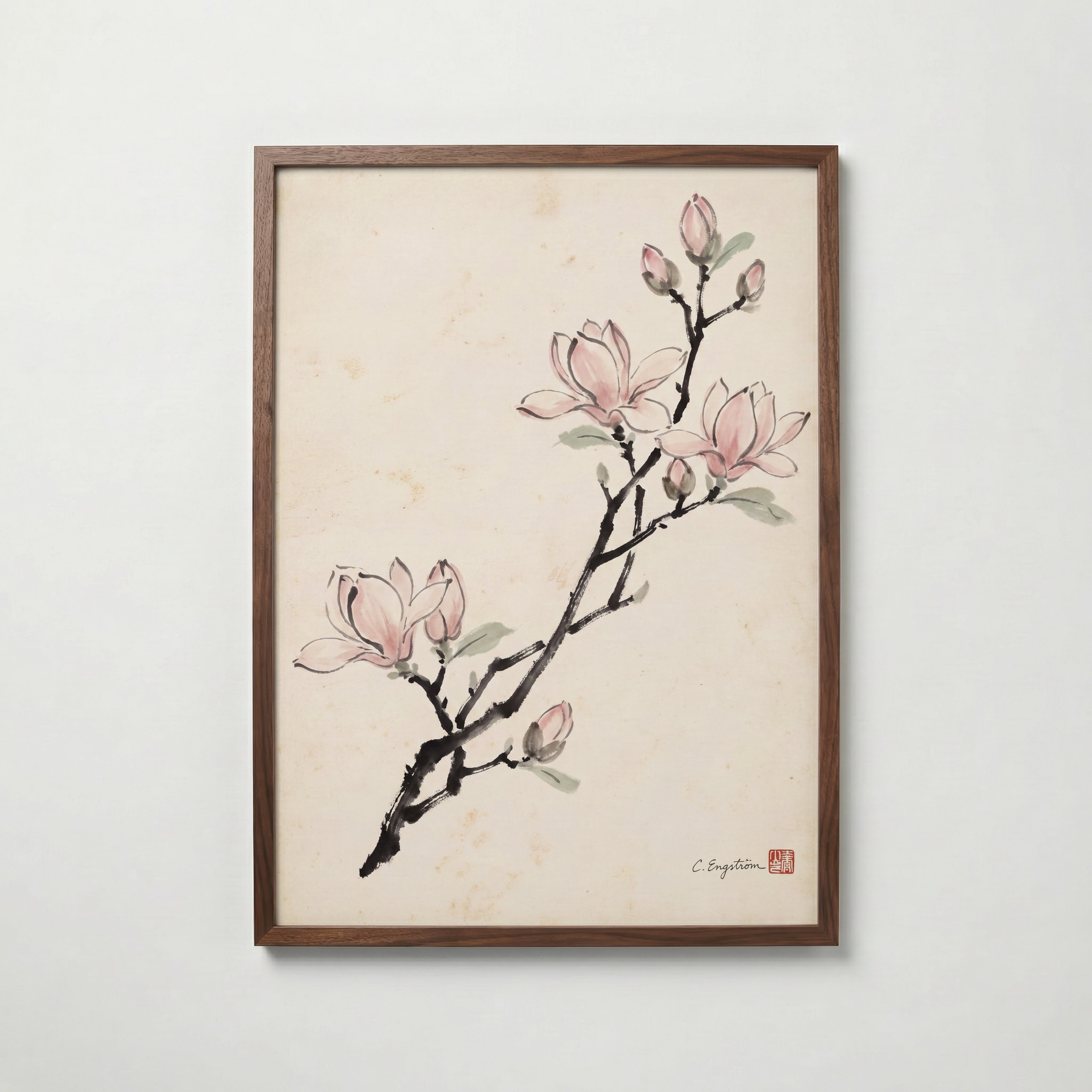 Magnolia By Caroline Engström – valnötsram