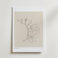 Postern Fleeting Beauty Poster från Bozetto har en minimalistisk linjeteckning av en blommande gren med blommor och knoppar på en beige bakgrund med en vit kant, vilket ger botanisk konst och skandinavisk stil till alla rum.