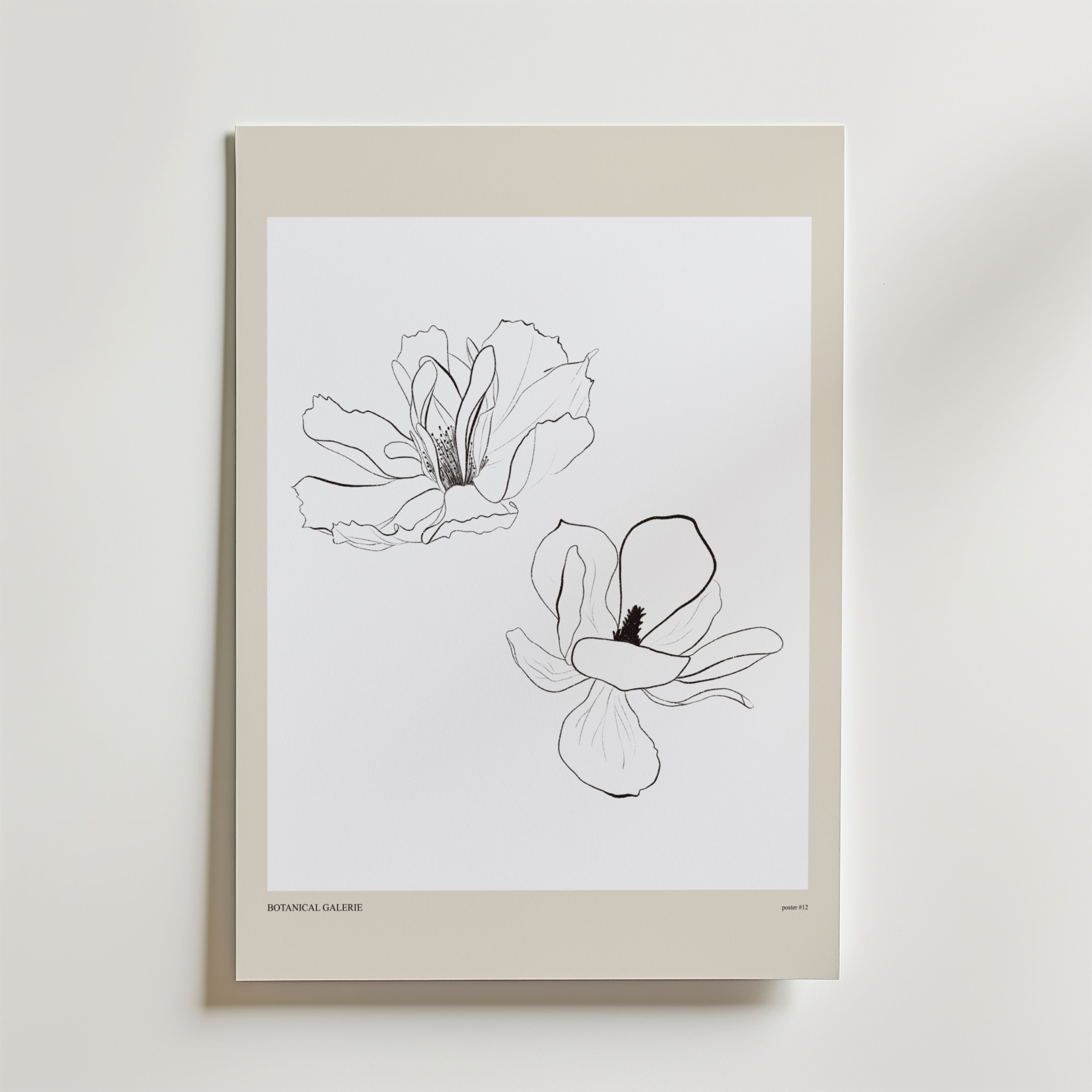 Airborne Grace Poster – Två blommor svävar med lätthet i ett ögonblick av stilla rörelse.