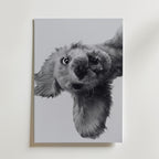 Puppy Play Poster – canvas utan passepartout