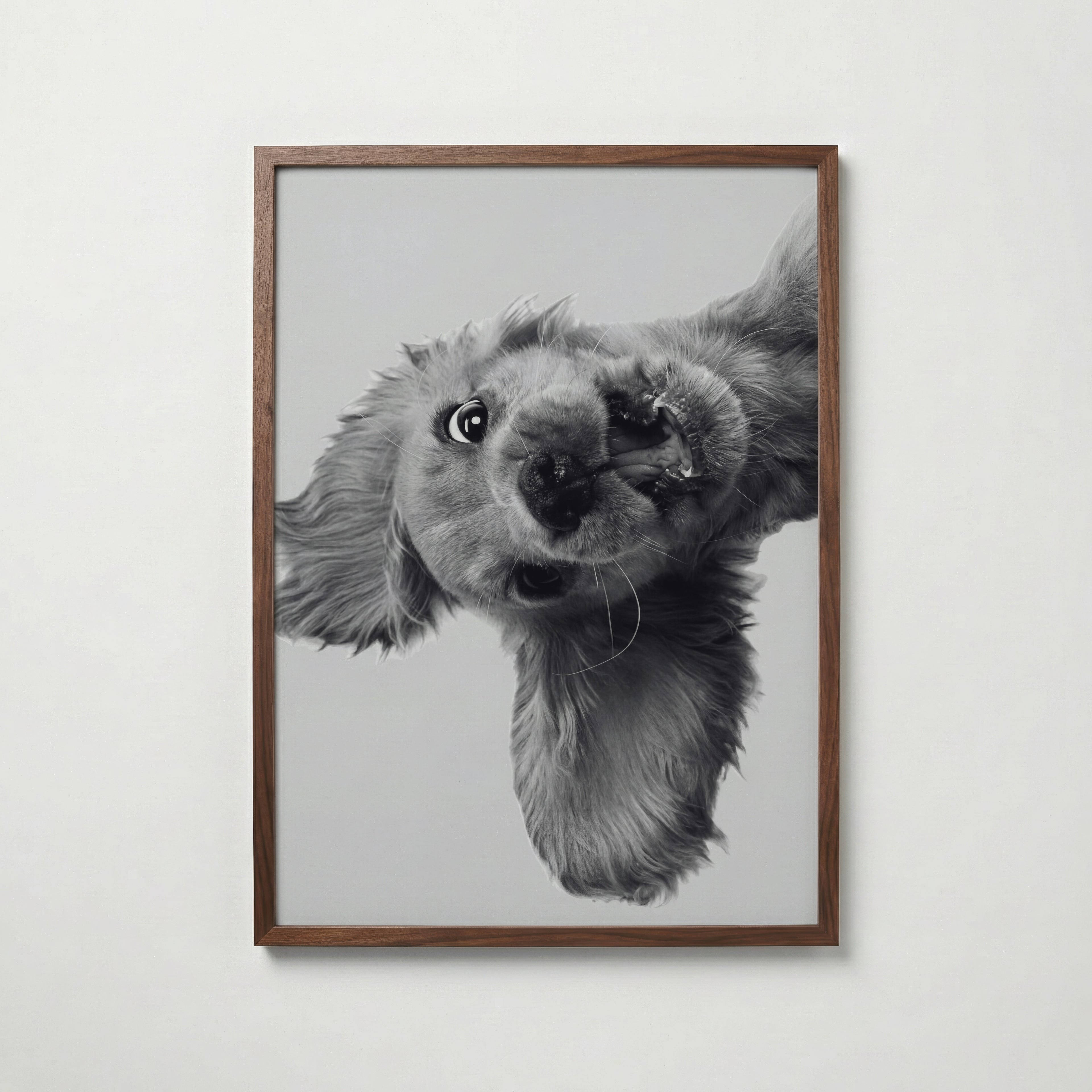 Puppy Play Poster – valnötsram